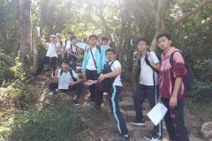IMAG2129