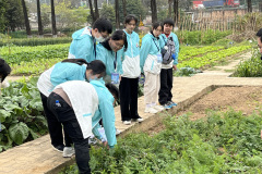 2024年2月28日至3月1日-公民科中五級廣州體驗式考察團_20參觀百草園