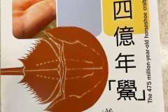 14853061-74d7-4be8-8f2a-78b3e04873af