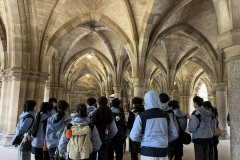 Photo-12