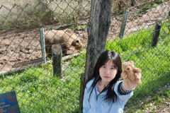 WhatsApp-Image-2025-08-28-at-14.46.30-2