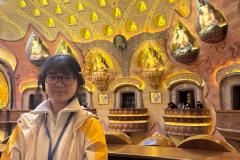 WhatsApp-Image-2026-01-08-at-11.05.47-AM-3