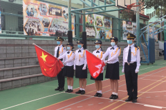 rsP14