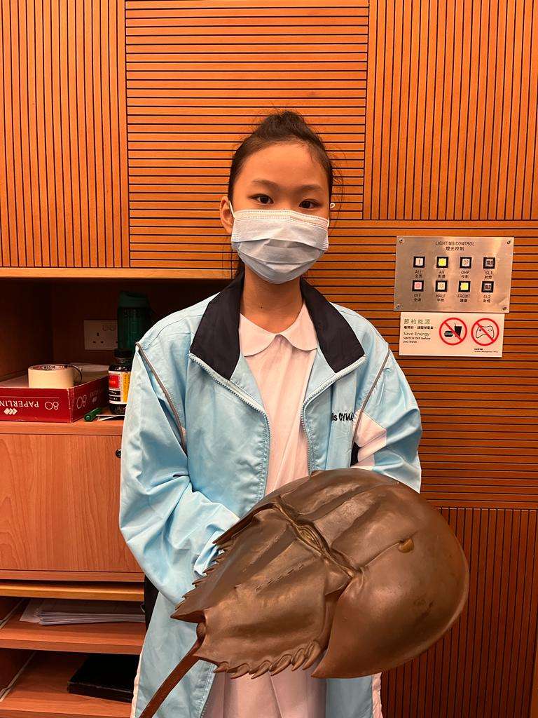 馬蹄蟹校園保母計劃